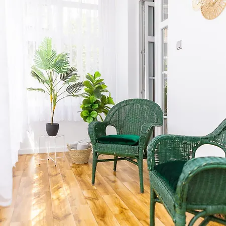 Na Krakowskiej, Myweek * דוז'ניקי ז'דרוז'